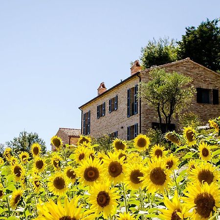 Casavostra - Ambience Suites Ostra Vetere Exterior foto